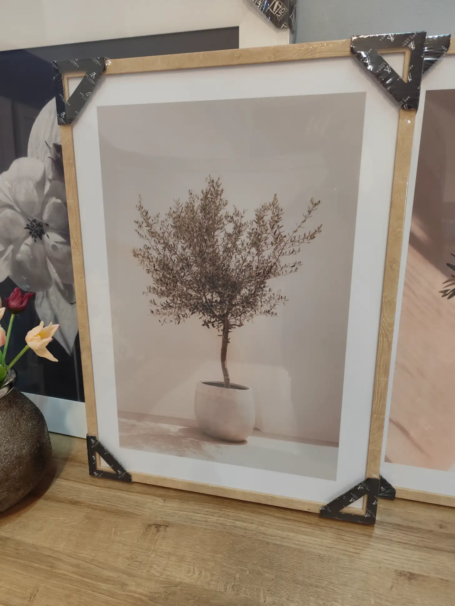 Obraz OLIVE TREE drzewo oliwne 50 x 70 cm