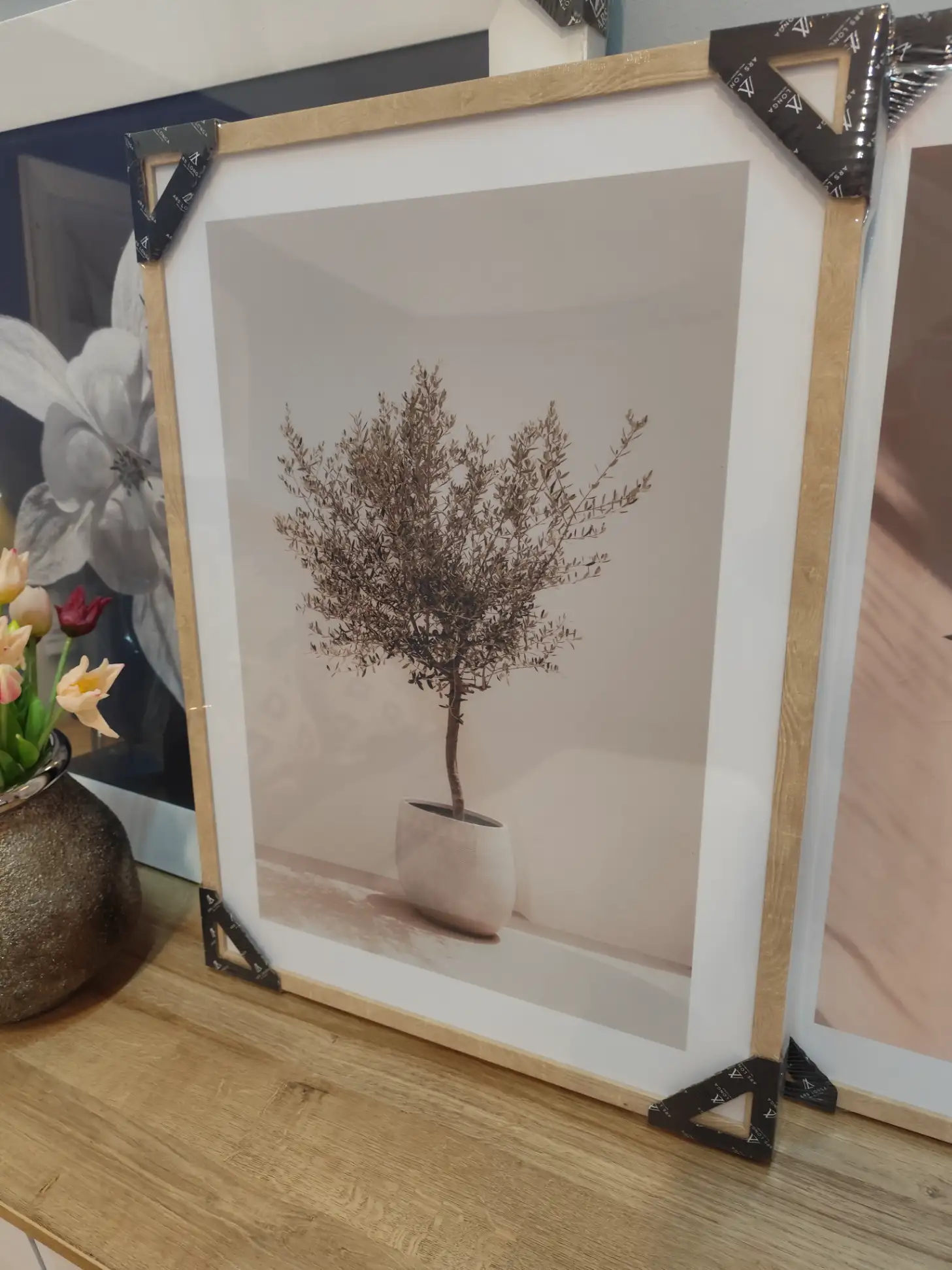 Obraz OLIVE TREE drzewo oliwne 50 x 70 cm