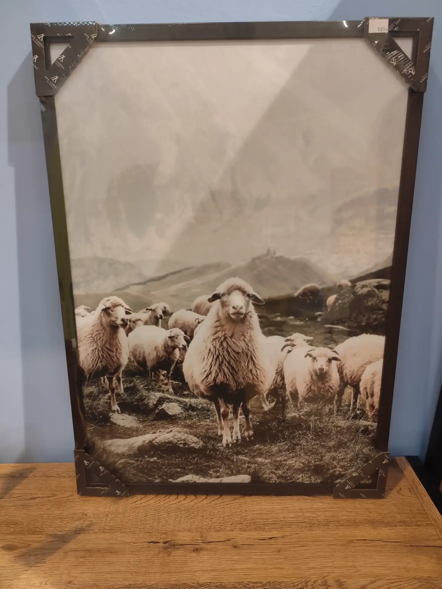 Obraz OWCE SKANDYNAWSKIE stado 50 x 70 cm