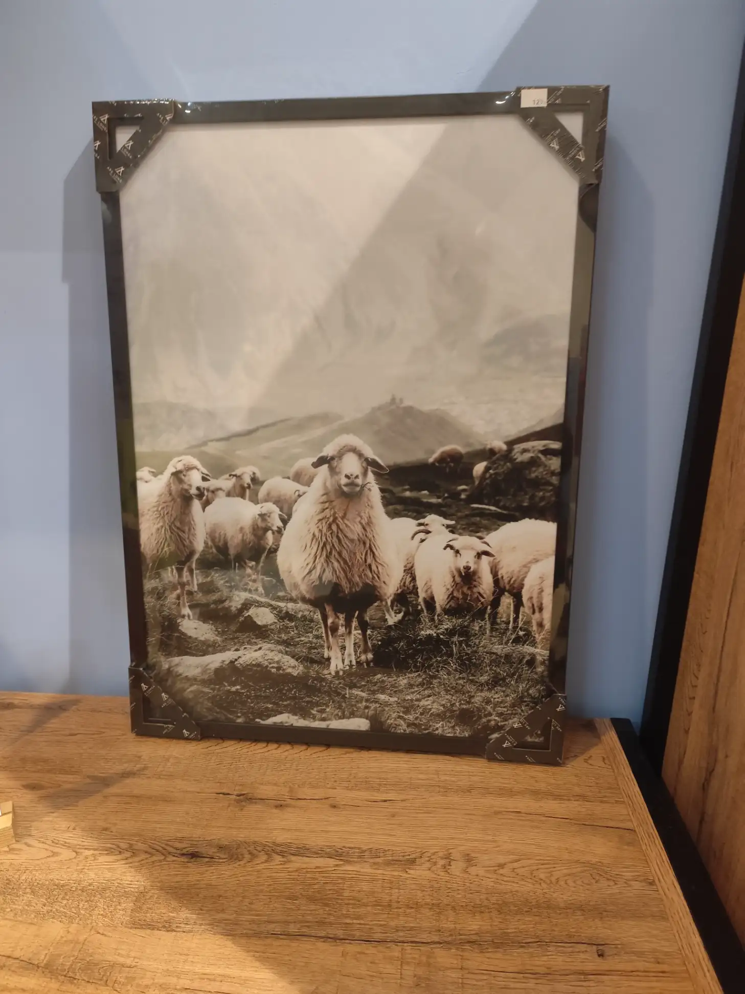 Obraz OWCE SKANDYNAWSKIE stado 50 x 70 cm Obraz OWCE SKANDYNAWSKIE stado 50 x 70 cm